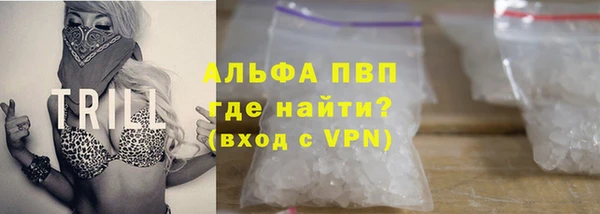 сатива Беломорск