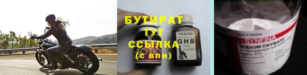 сатива Беломорск