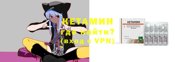 сатива Беломорск
