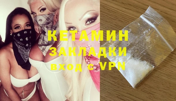 сатива Беломорск