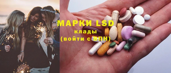сатива Беломорск