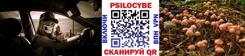 Псилоцибиновые грибы прущие грибы  Купить  Можга 